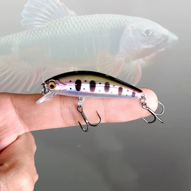 Wobbler & Minnow – Raubfisch Kunstköder für Barsch, Zander & Hecht Variante B