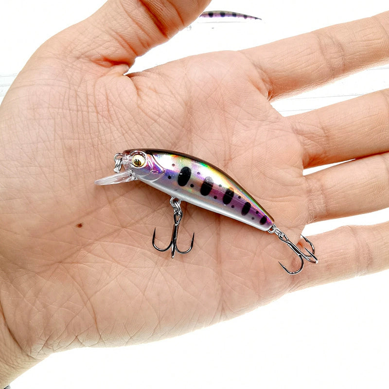 Wobbler & Minnow – Raubfisch Kunstköder für Barsch, Zander & Hecht Variante B