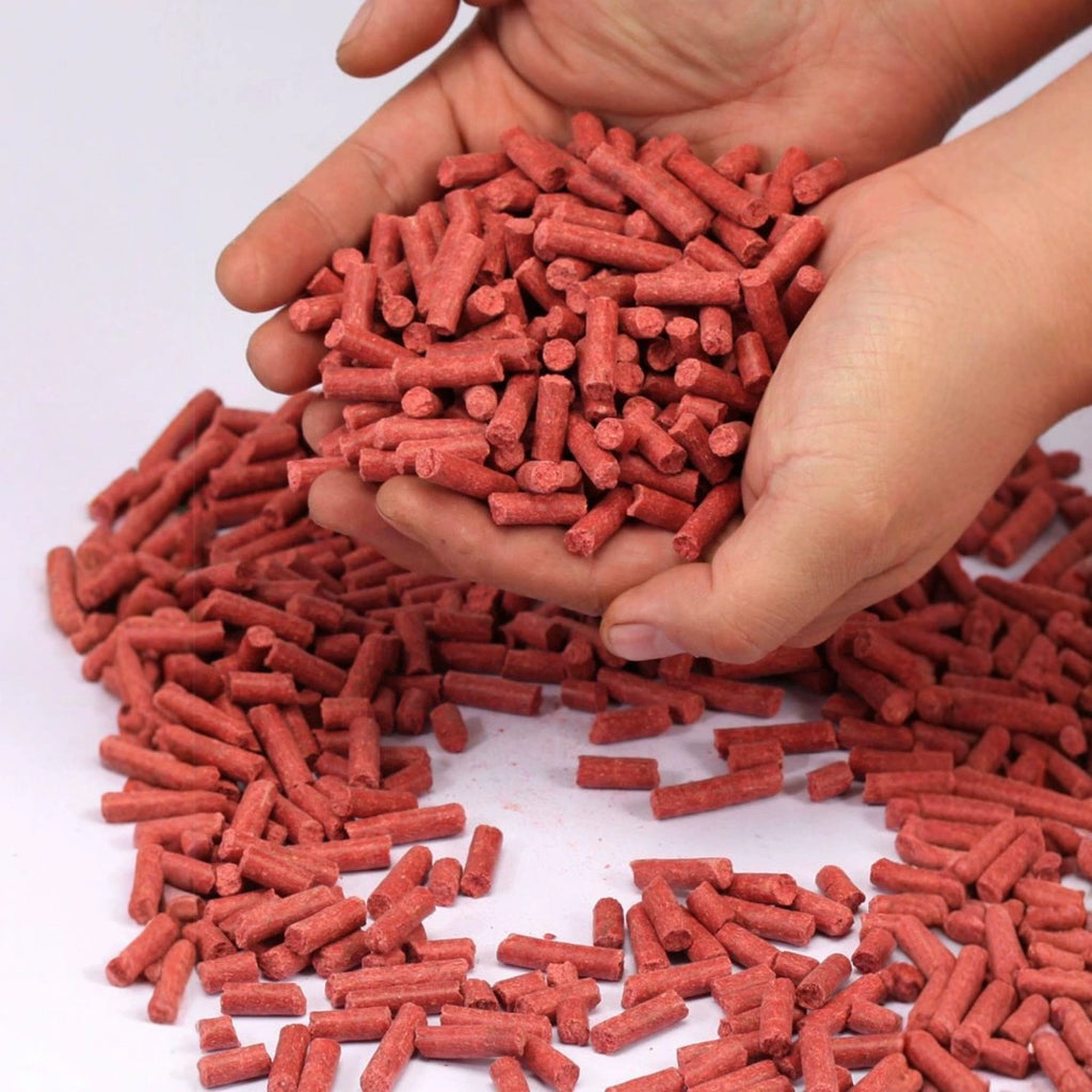 Pellets Zooplankton-Duft – Anfütterung für Karpfen, Brassen & Weißfisch