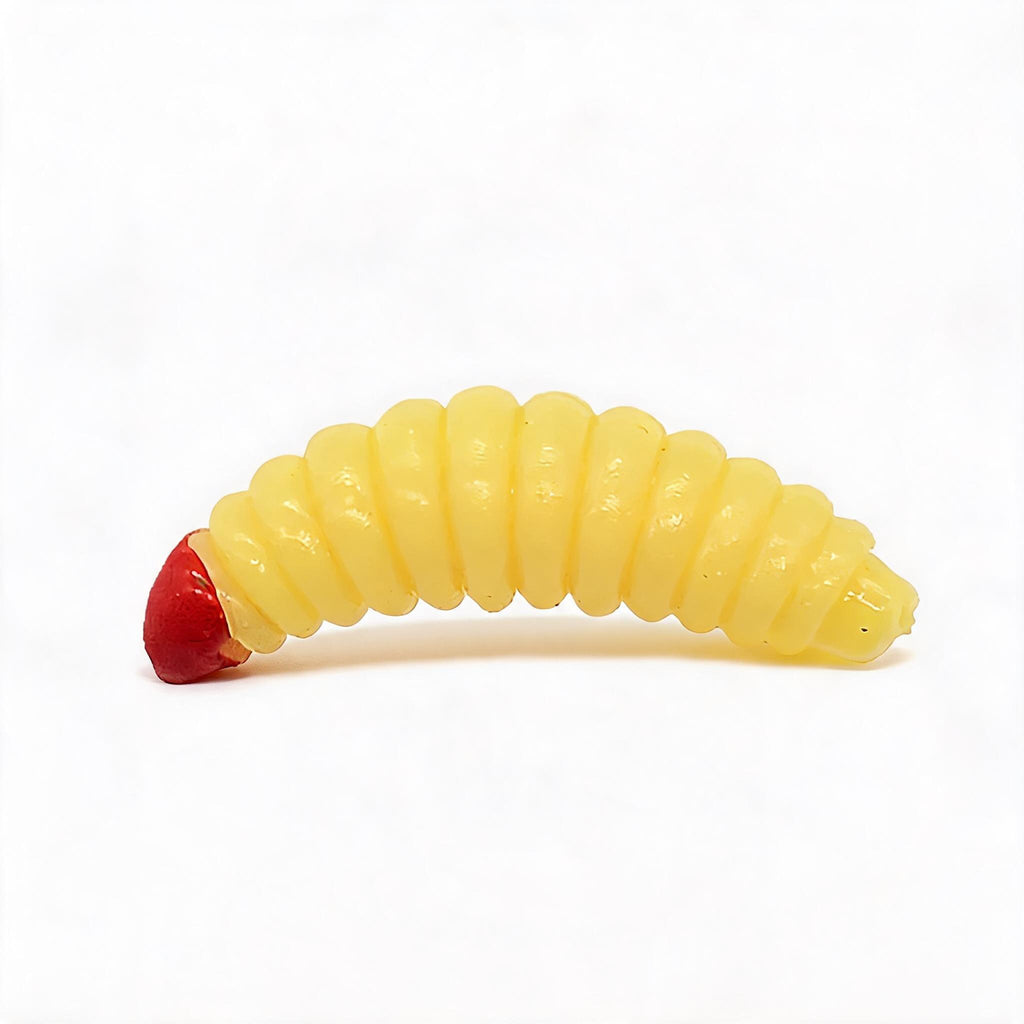 Urlaubs Reise Köder Set 54 Teile kompakt Mini Baits | LakeBite