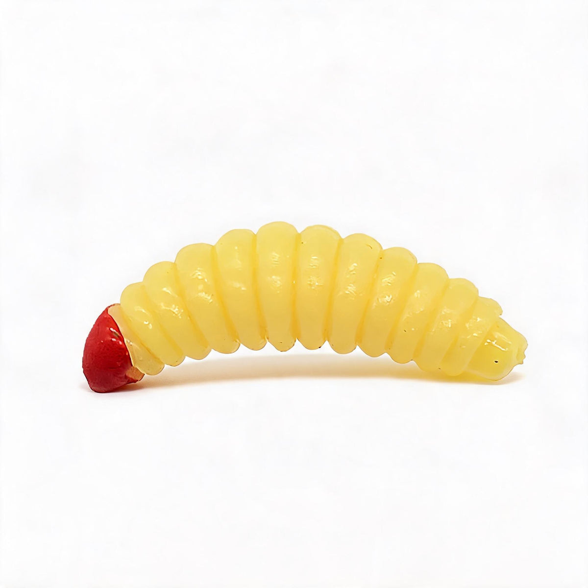 Urlaubs Reise Köder Set 54 Teile kompakt Mini Baits | LakeBite