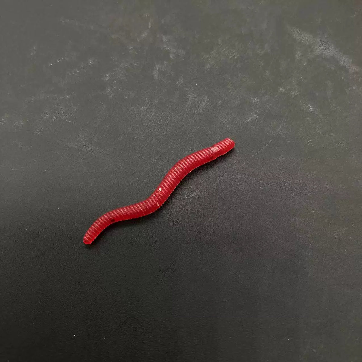 Angel Starter Kit 121 Teile Komplettset Softbaits Jigs Einsteiger | LakeBite